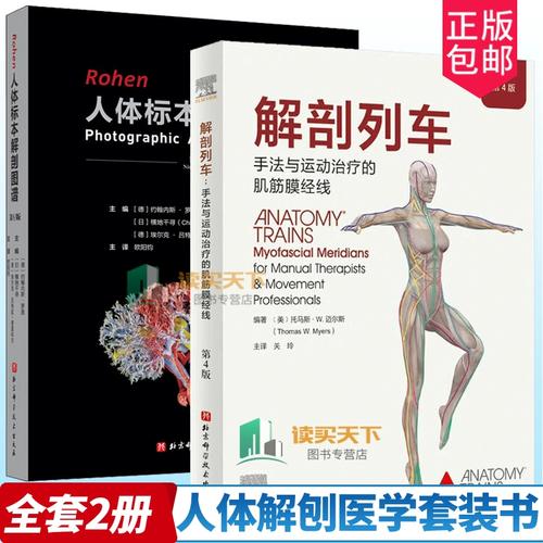 2册 北京科学技术出版社 人体解刨彩色肌肉功能测试书籍